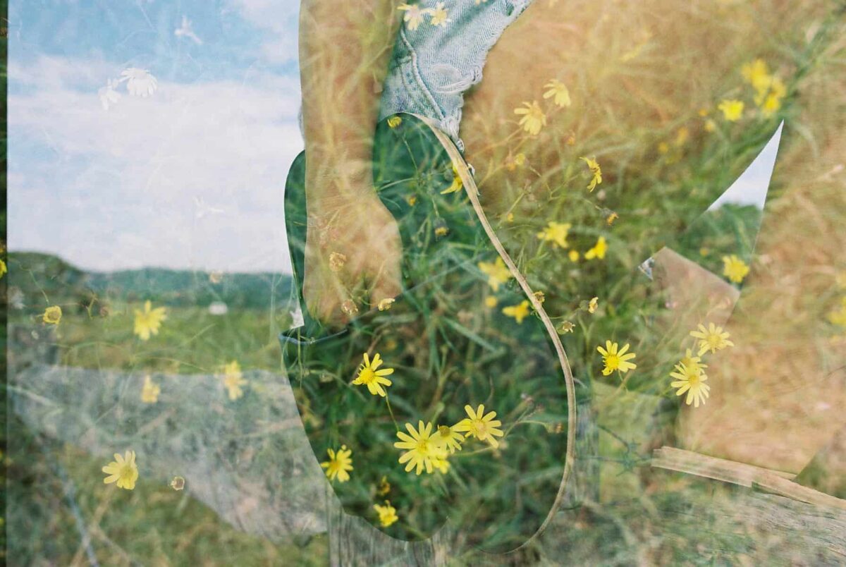 woven-palm-blog-natural-desires