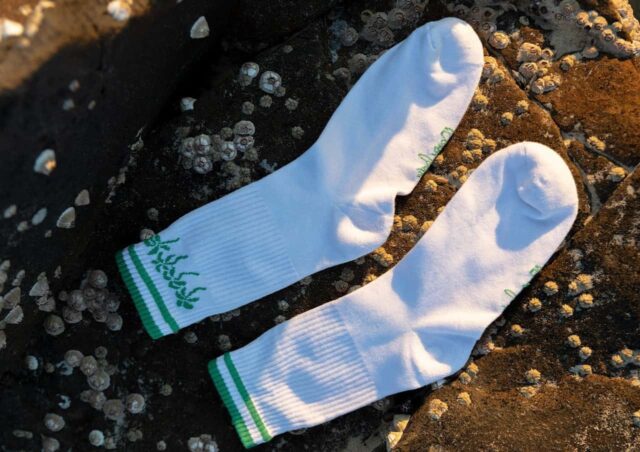 Dancing Palm Original Socks - Woven Palm